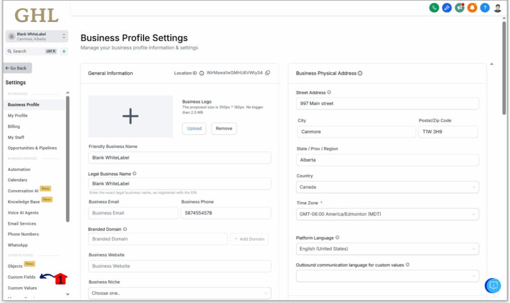 Access Custom Fields