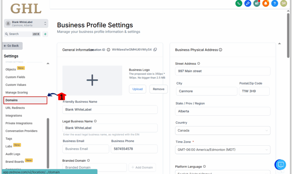 GoHighLevel interface showing active domain setup for email threading fix results
