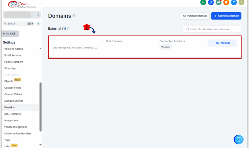 Verified domain view inside GoHighLevel used for email threading fix testing