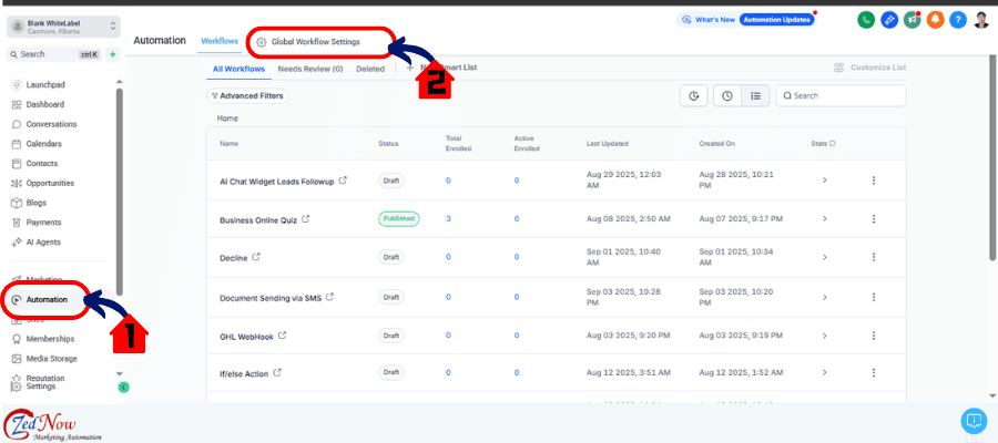 ghl global pause workflows settings access
