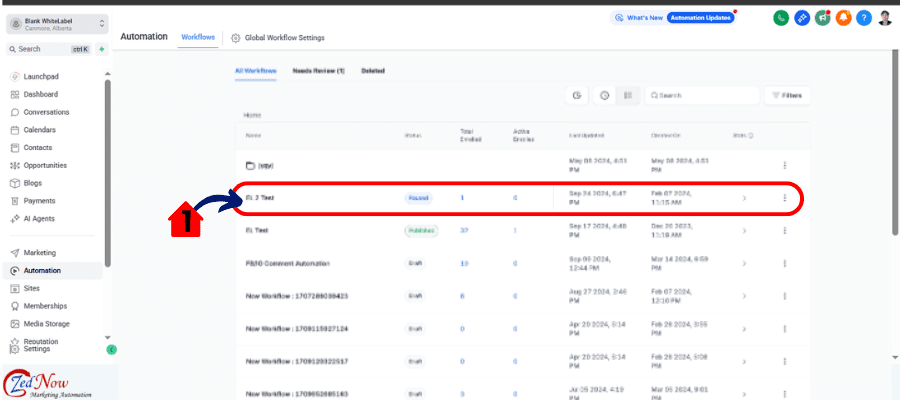 ghl verifying Pause Workflow