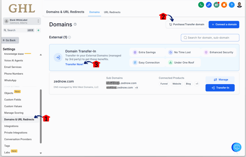 GHL domain transfer process - Open Domain and Transfer Options